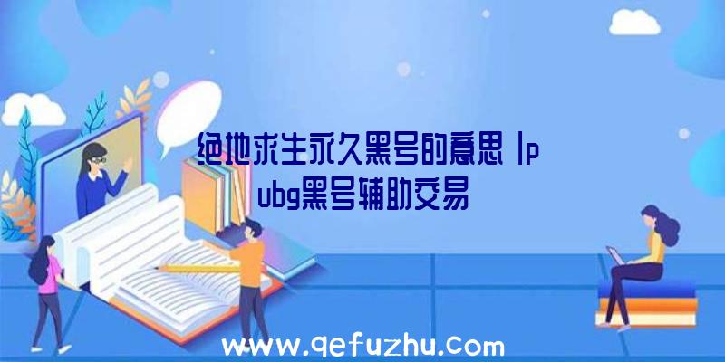 「绝地求生永久黑号的意思」|pubg黑号辅助交易